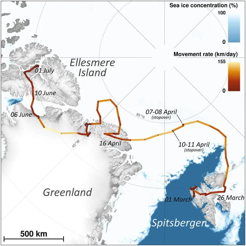Arctic Fox's Journey From Norway To Canada (2018) Map