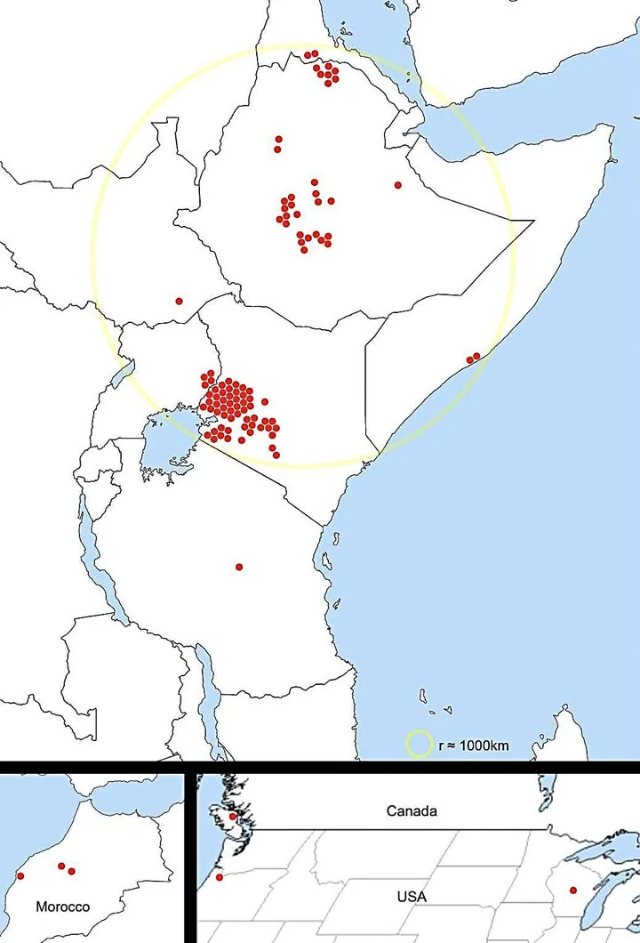 Birthplaces of the 100 Fastest 10,000m Runners of All Time