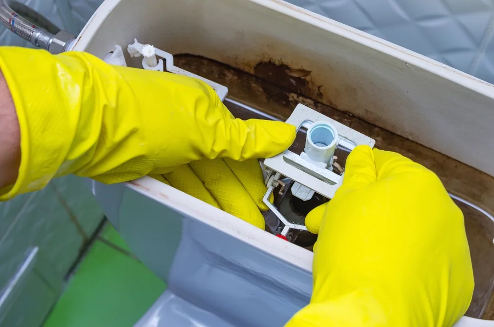Black Sediment In The Toilet Bowl: 5 Reasons & Fixes