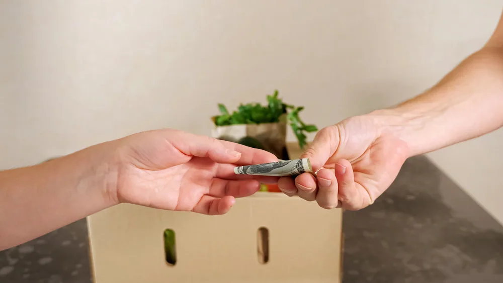 Do You Tip Landscapers? 6 Deciding Factors