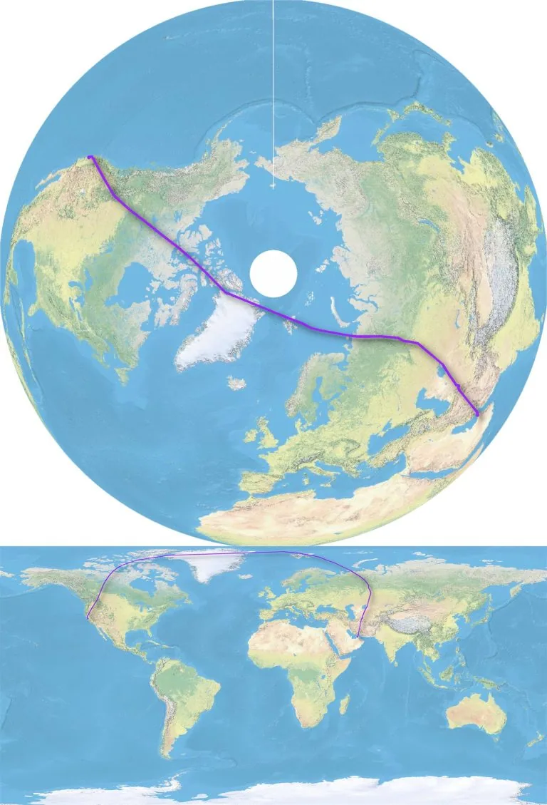 Same Flight, Two Projections