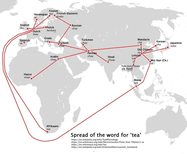 How One Word Conquered the World The Global Journey of Tea