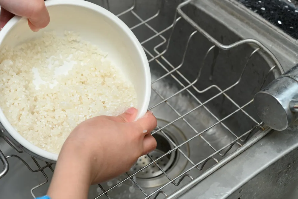 Can You Put Rice Down A Garbage Disposal? [No! Here's Why]