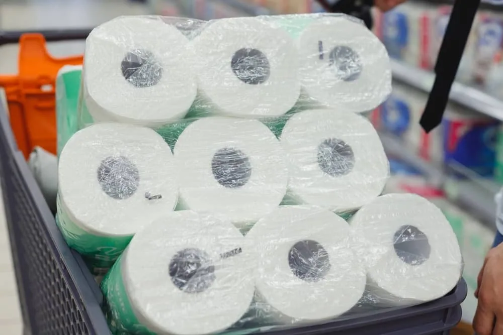 Toilet Paper Roll Dimensions: Everything You Need To Know
