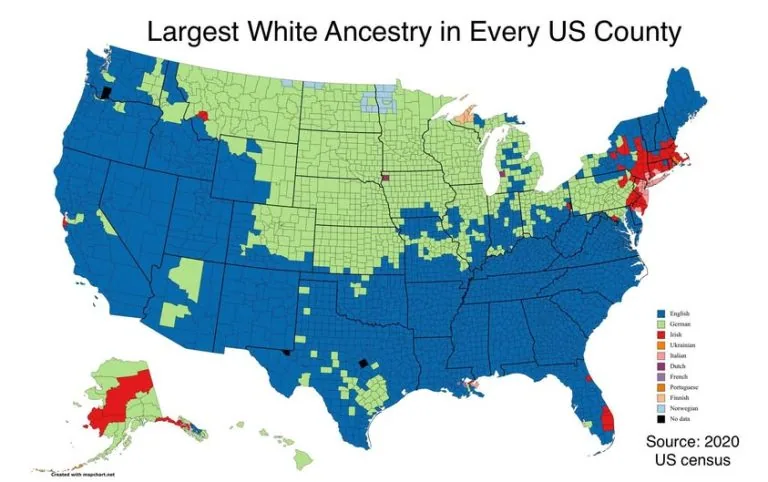 Where Did White America Come From This Map Has the Answer